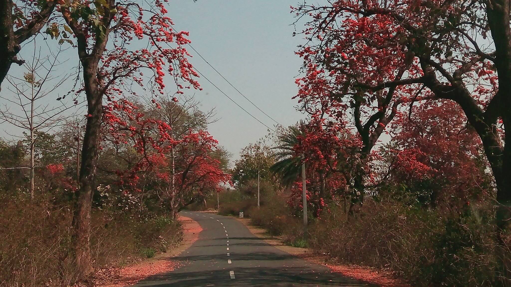 Bishnupur roadway